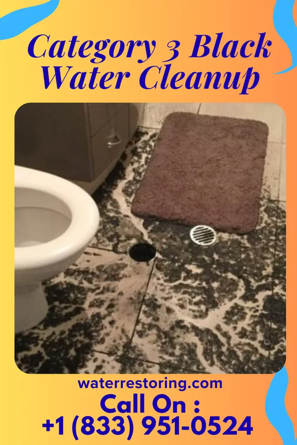 Category 3 Black Water Cleanup in La Grange, KY
