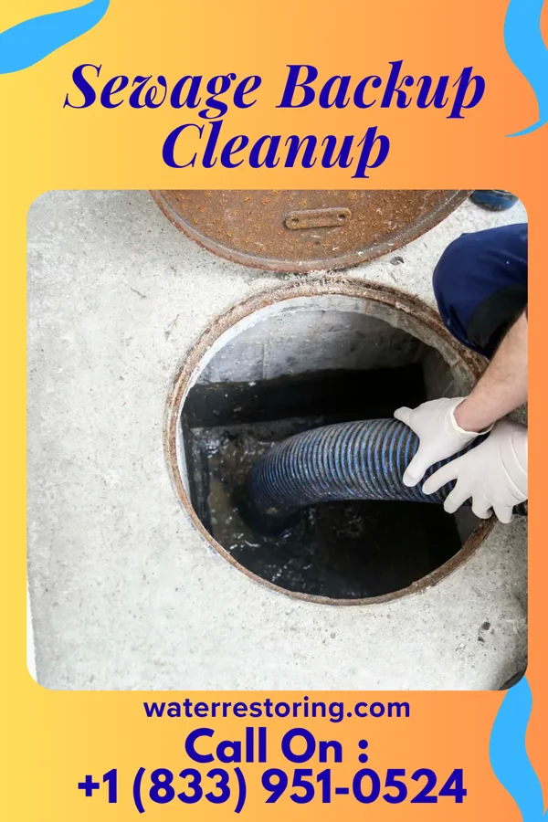 Sewage Backup Cleanup in La Grange, KY