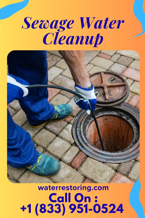 Sewage Water Cleanup in La Grange, KY